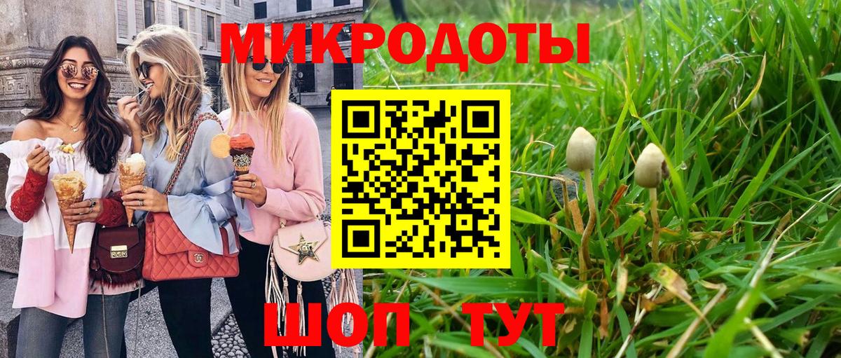Губкинский  Псилоцибиновые грибы Psilocybine cubensis  Вход с VPN 
